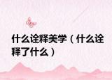 什么诠释美学（什么诠释了什么）