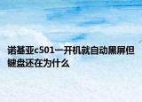 诺基亚c501一开机就自动黑屏但键盘还在为什么