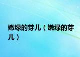 嫩绿的芽儿（嫩绿的芽儿）