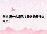 备胎,是什么意思（云备胎是什么意思）
