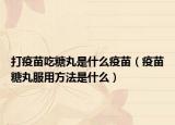 打疫苗吃糖丸是什么疫苗（疫苗糖丸服用方法是什么）