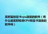 实时监控显卡cpu温度的软件（有什么能实时检测CPU和显卡温度的软件吗）