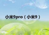 小米9pro（小米9）