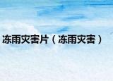 冻雨灾害片（冻雨灾害）