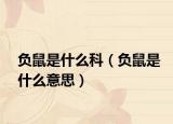 负鼠是什么科（负鼠是什么意思）