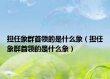 担任象群首领的是什么象（担任象群首领的是什么象）