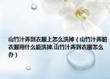 山竹汁弄到衣服上怎么洗掉（山竹汁弄脏衣服用什么能洗掉,山竹汁弄到衣服怎么办）
