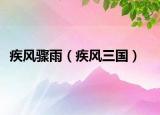 疾风骤雨（疾风三国）