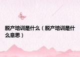 脱产培训是什么（脱产培训是什么意思）