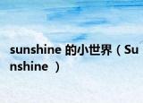 sunshine 的小世界（Sunshine ）