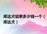 库达犬幼崽多少钱一个（库达犬）
