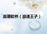 浪潮软件（浪速王子）
