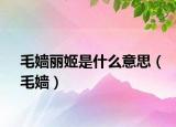 毛嫱丽姬是什么意思（毛嫱）