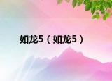 如龙5（如龙5）