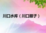 川口水库（川口顺子）
