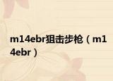 m14ebr狙击步枪（m14ebr）