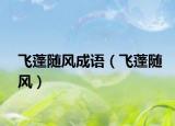 飞蓬随风成语（飞蓬随风）