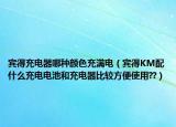 宾得充电器哪种颜色充满电（宾得KM配什么充电电池和充电器比较方便使用??）