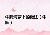 牛腩炖萝卜的做法（牛腩）