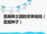 圣殿骑士团的悲惨结局（圣殿种子）