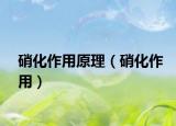 硝化作用原理（硝化作用）