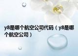 y8是哪个航空公司代码（y8是哪个航空公司）