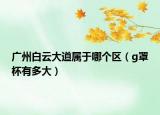广州白云大道属于哪个区（g罩杯有多大）