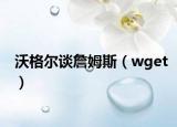 沃格尔谈詹姆斯（wget）