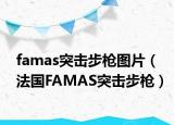 famas突击步枪图片（法国FAMAS突击步枪）