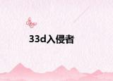 33d入侵者