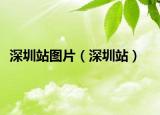 深圳站图片（深圳站）