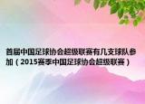 首届中国足球协会超级联赛有几支球队参加（2015赛季中国足球协会超级联赛）