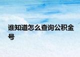 谁知道怎么查询公积金号