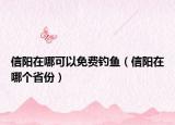 信阳在哪可以免费钓鱼（信阳在哪个省份）