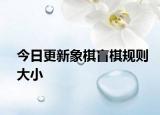 今日更新象棋盲棋规则大小