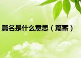 篇名是什么意思（篇蓄）