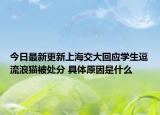今日最新更新上海交大回应学生逗流浪猫被处分 具体原因是什么