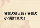 导盲犬驯犬师（导盲犬小q是什么犬）
