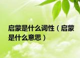 启蒙是什么词性（启蒙是什么意思）