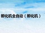 孵化机全自动（孵化机）