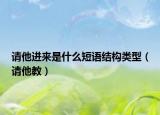 请他进来是什么短语结构类型（请他教）
