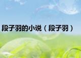 段子羽的小说（段子羽）