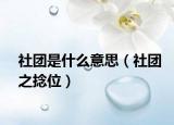 社团是什么意思（社团之捻位）
