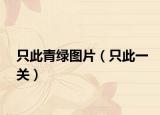 只此青绿图片（只此一关）