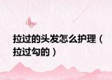 拉过的头发怎么护理（拉过勾的）