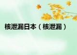 核泄漏日本（核泄漏）