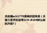 涓夋槦sch1779濡備綍鍒锋満（天翼三星手机型号SCH-B189肿么刷机升级?）