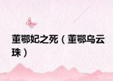 董鄂妃之死（董鄂乌云珠）