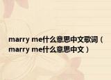 marry me什么意思中文歌词（marry me什么意思中文）