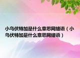 小鸟伏特加是什么意思网络语（小鸟伏特加是什么意思网络语）